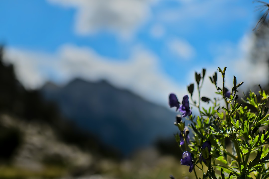 Descubre Huesca Lugares Imprescindibles Que Ver