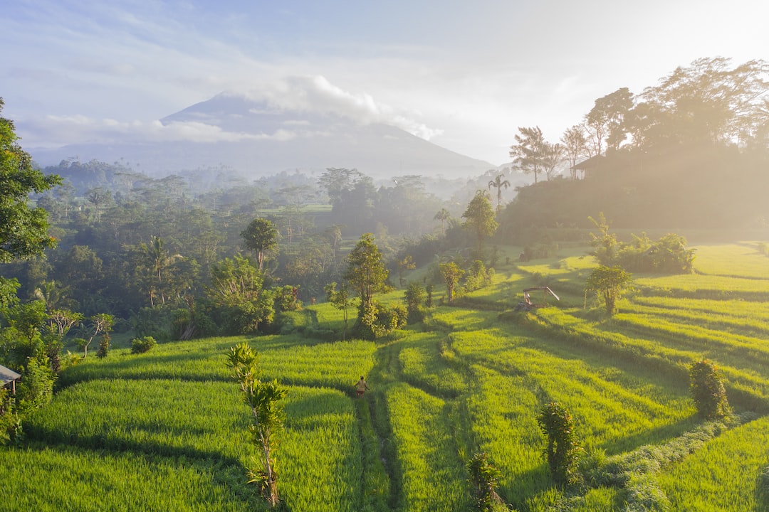 Ocio y Diversión en Bali