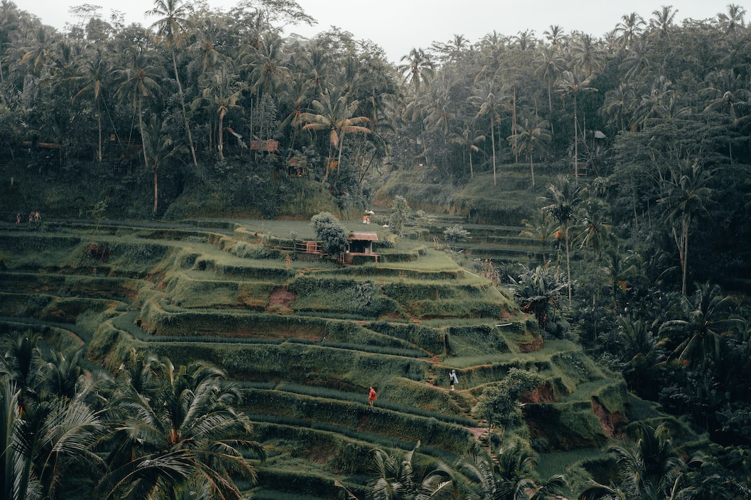 Explorando los Alrededores de Bali