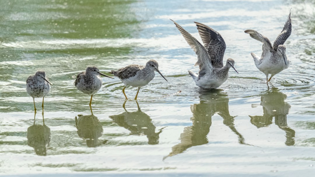 Actividades al aire libre en el Delta del Ebro