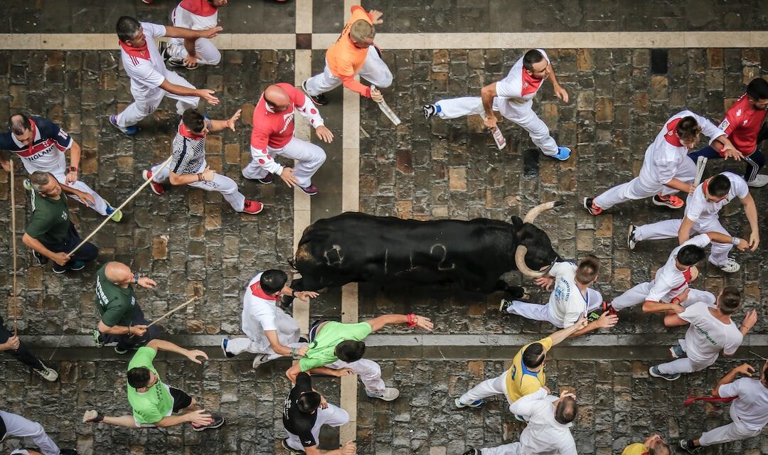 Qué ver en Navarra: 10 Joyas Imprescindibles del Reino Escondido