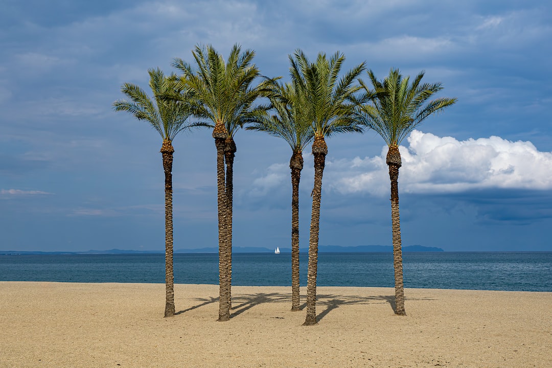 Cultural Activities in Roquetas de Mar